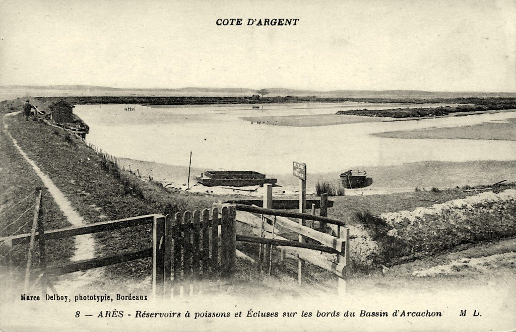 Arès 33.jpg