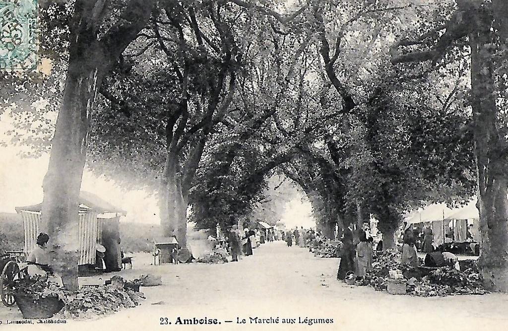 Amboise 20 37.jpg