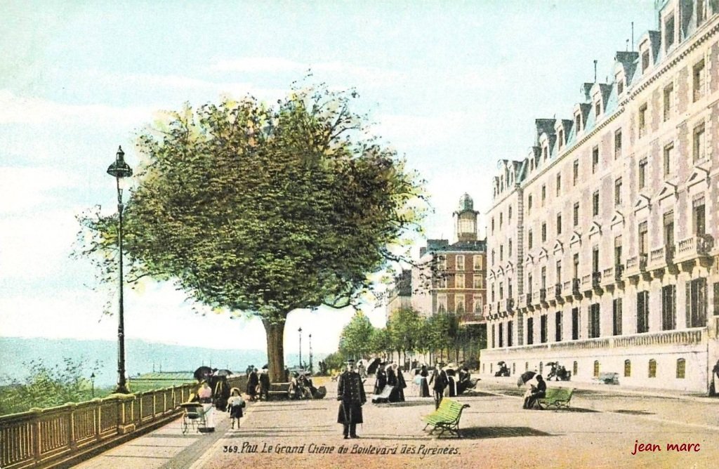 Pau - Le Grand Chêne du Boulevard des Pyrénées.jpg