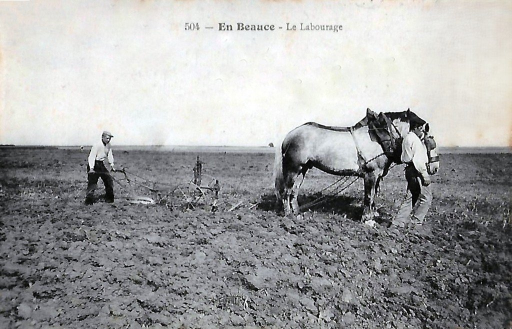 En Beauce 504 45.jpg