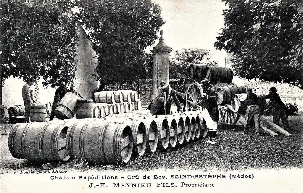 Saint-Estèphe 33.jpg