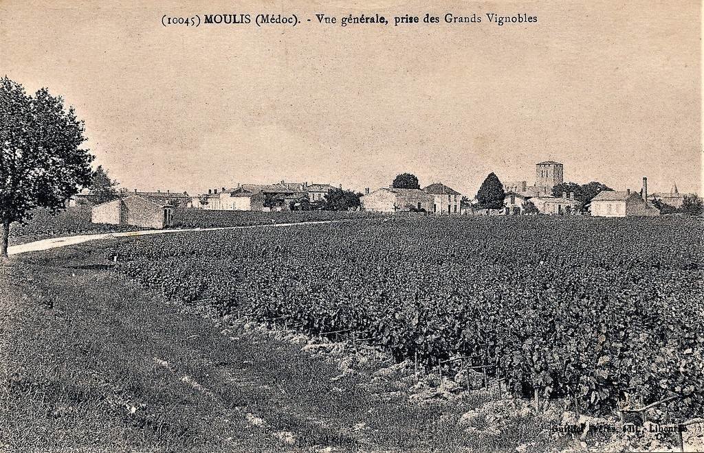 Moulis 33.jpg