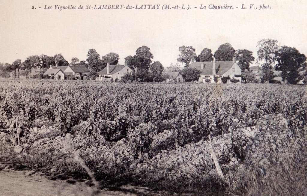 Saint-Lambert du L. 49.jpg