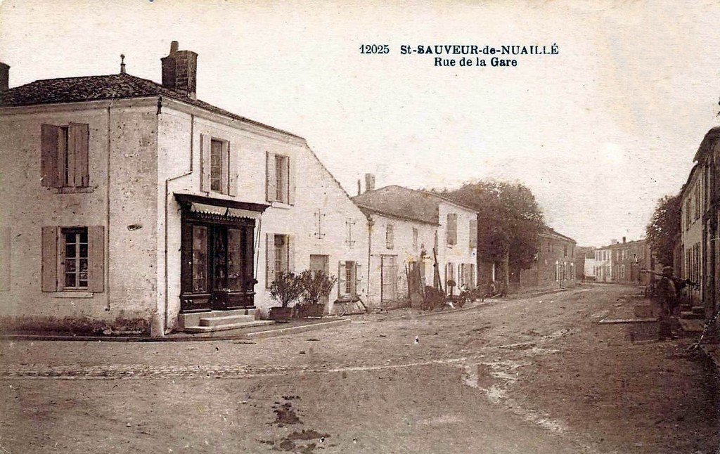 Saint-Sauveur de Nuaillé (17) 12025.jpg