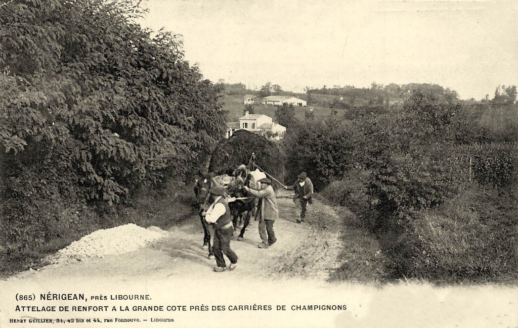 Attelage Nérigean 865 33.jpg