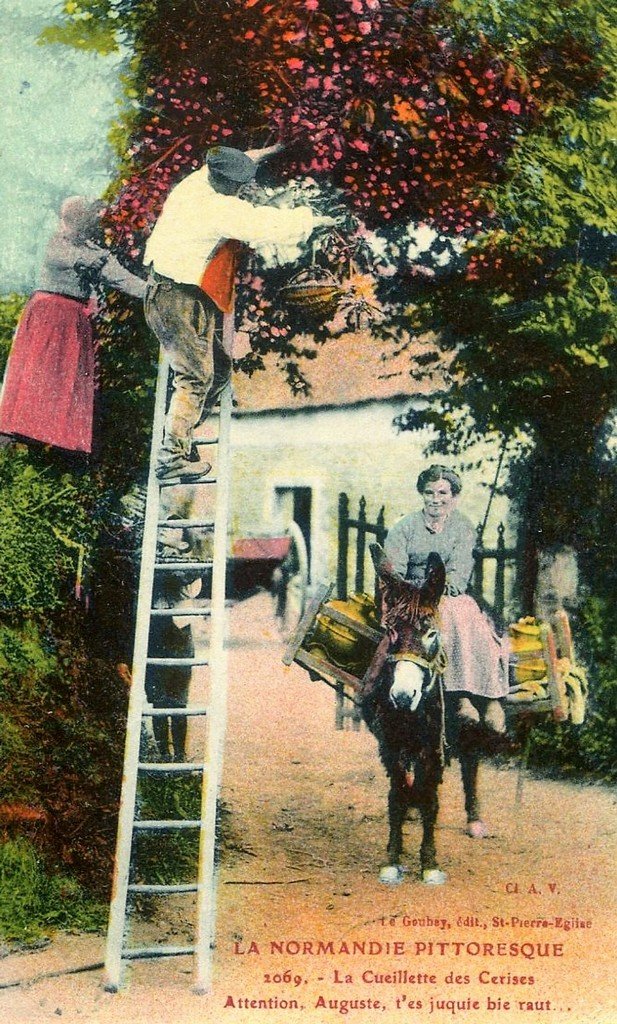 Normandie 50.jpg