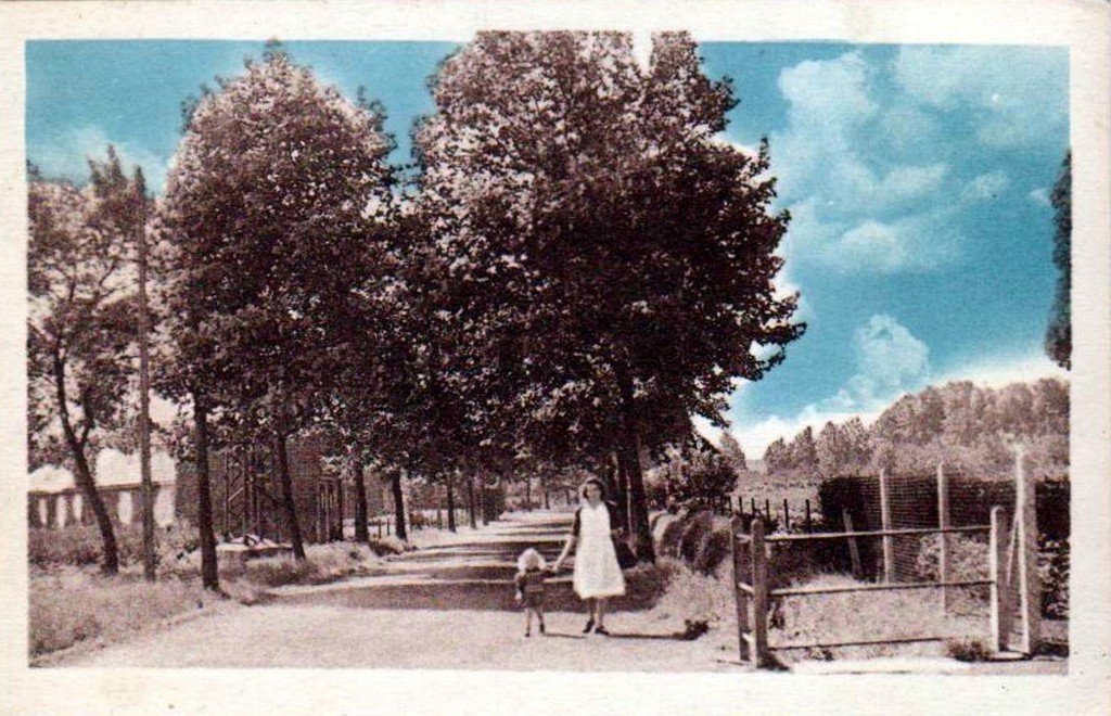 Lesquin 59.jpg