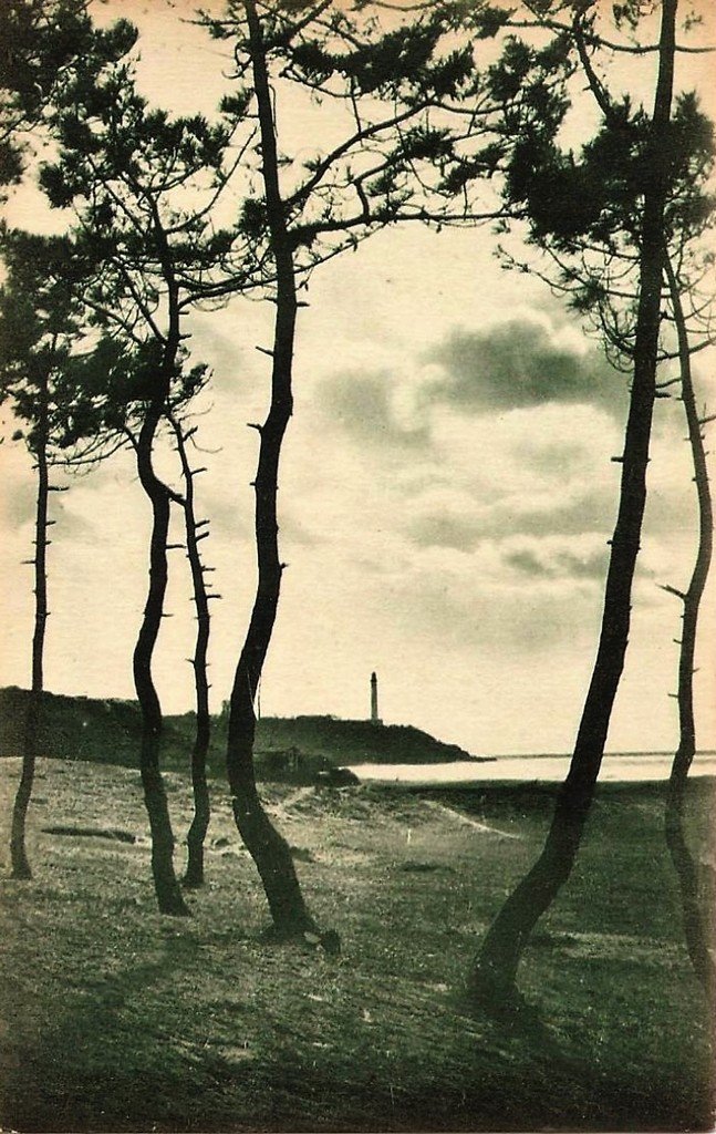 Anglet 64.jpg