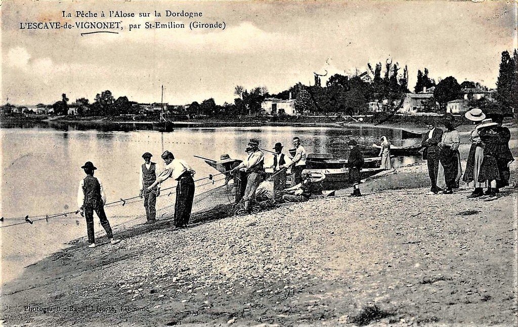 Pêche Vignonet L'Escave 33.jpg