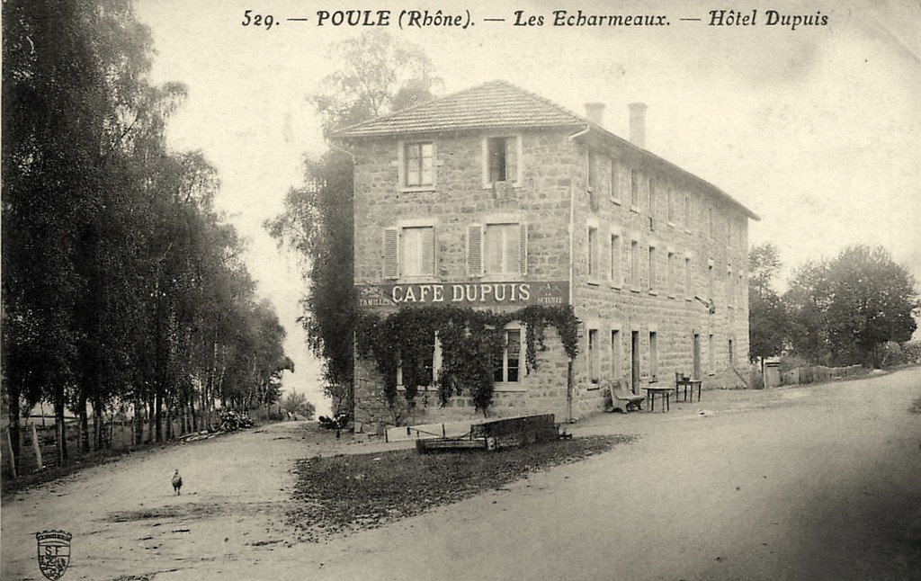 Poule 69 529.jpg