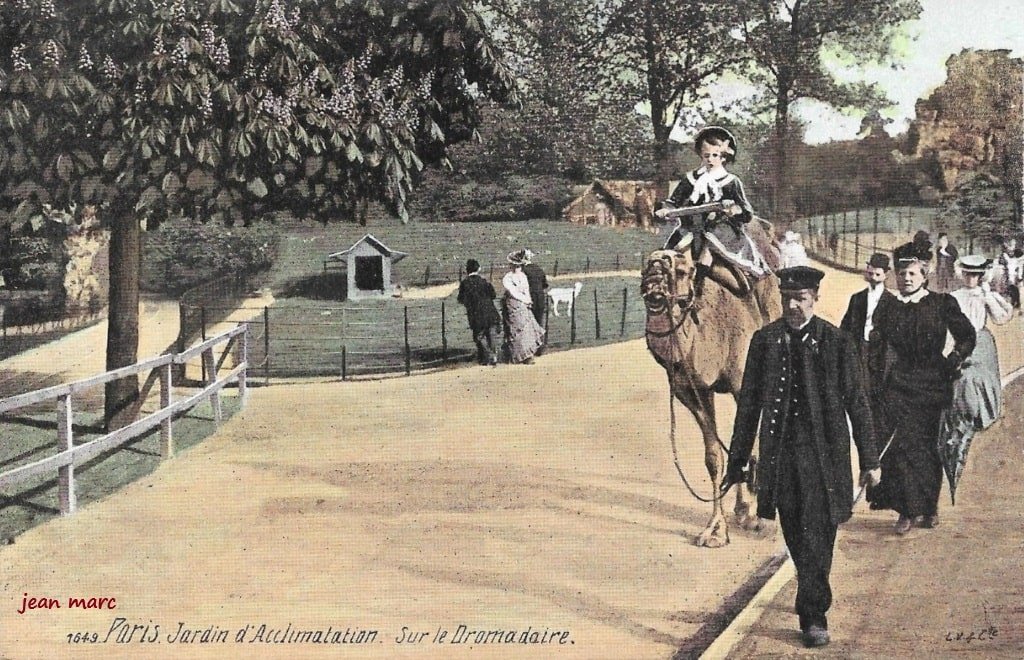 Paris - Jardin d'Acclimatation - Sur le Dromadaire.jpg