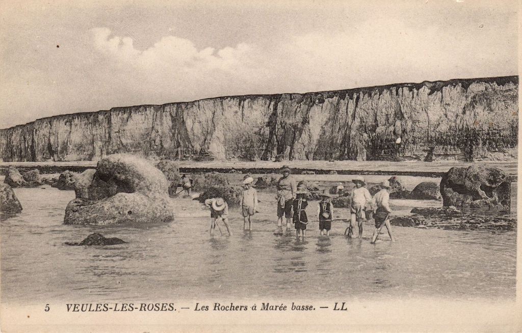 76 - VEULES-LES-ROSES - 5 - Les Rochers à Marée basse - LL (dos beige) - 23-09-25.jpg
