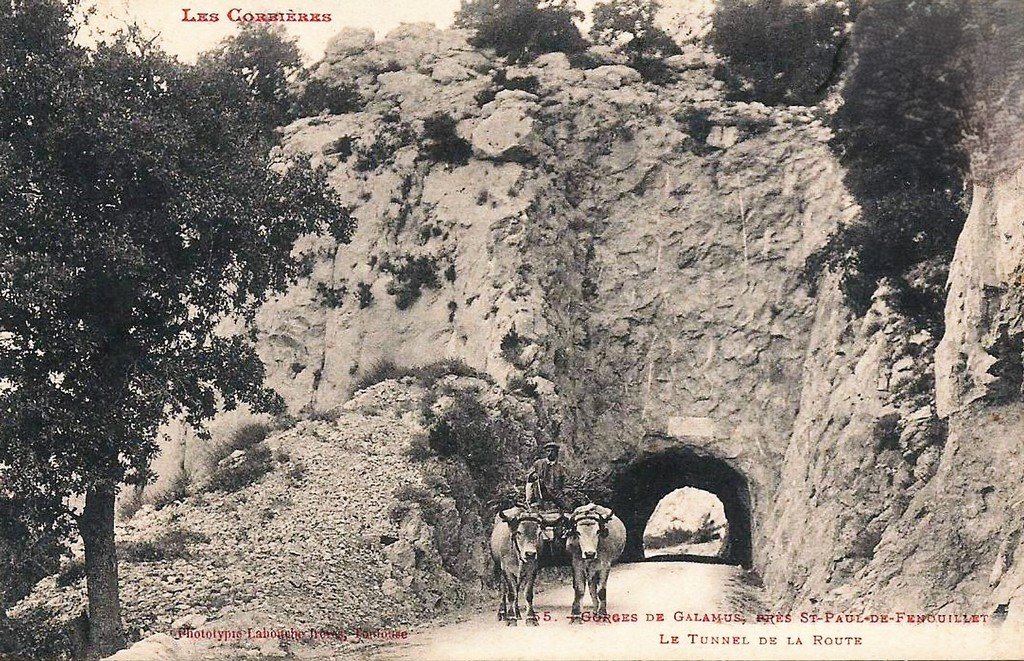Attelage Saint-Paul de Fenouillet 66.jpg