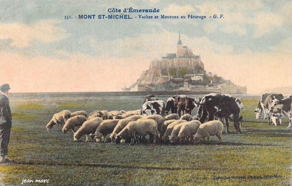 Mont-Saint-Michel - Vaches et moutons au pâturage.jpg