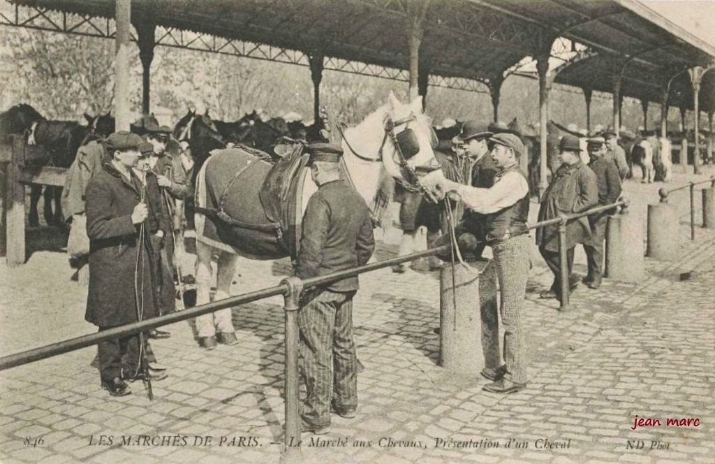 Paris XIIIe - Le Marché aux Chevaux - Présentation d'un cheval.jpg