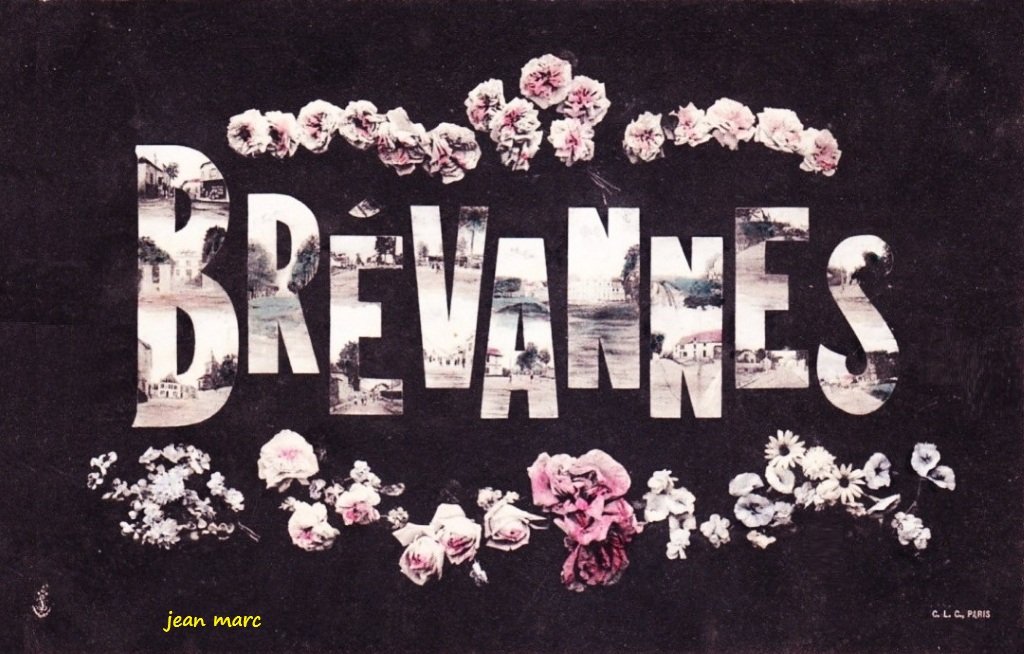 Brévannes multivues.jpg