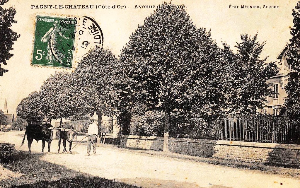 Attelage Pagny- le Château 21.jpg