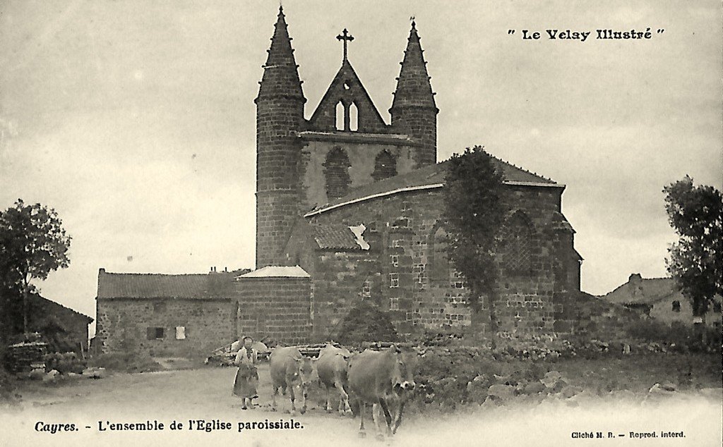 Bovins Cayres 43.jpg