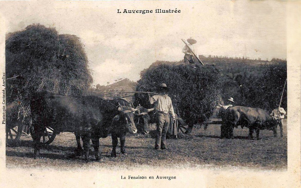 Attelage Série Auvergne 63.jpg