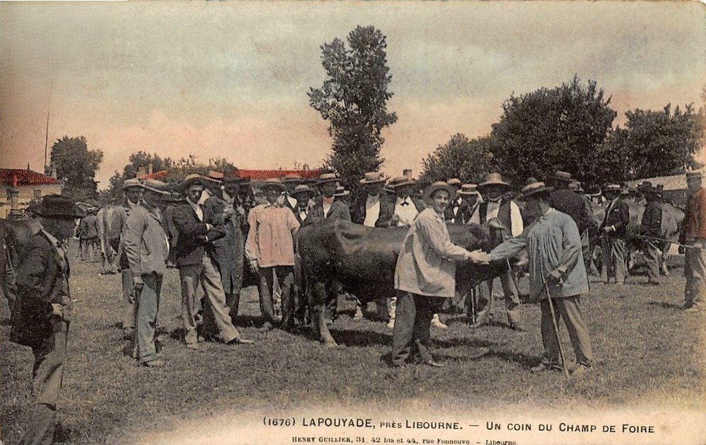 Bovin Lapouyade 1676c. 33.jpg