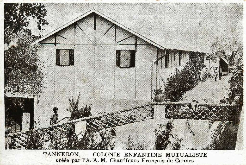 Tanneron 83.jpg