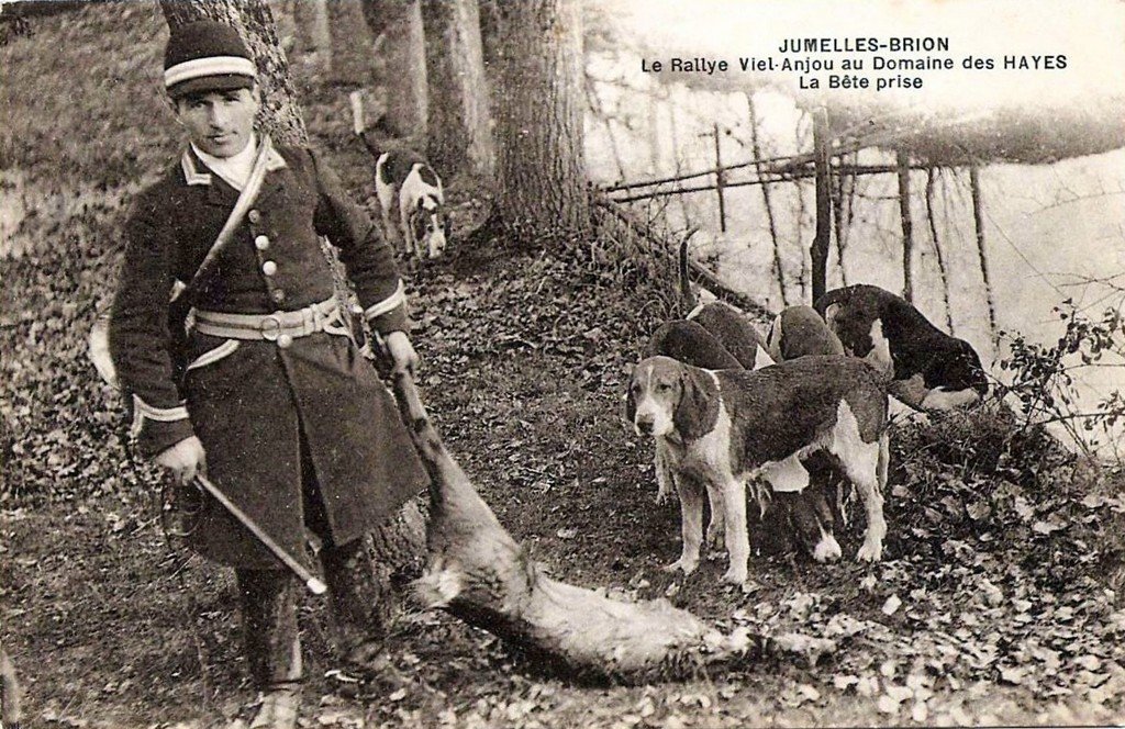 Brion 49.jpg