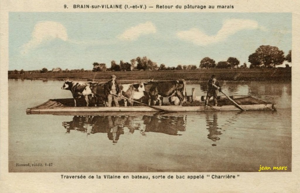 Brain-sur-Vilaine - Le Bourg - Retour du pâturage au marais.jpg