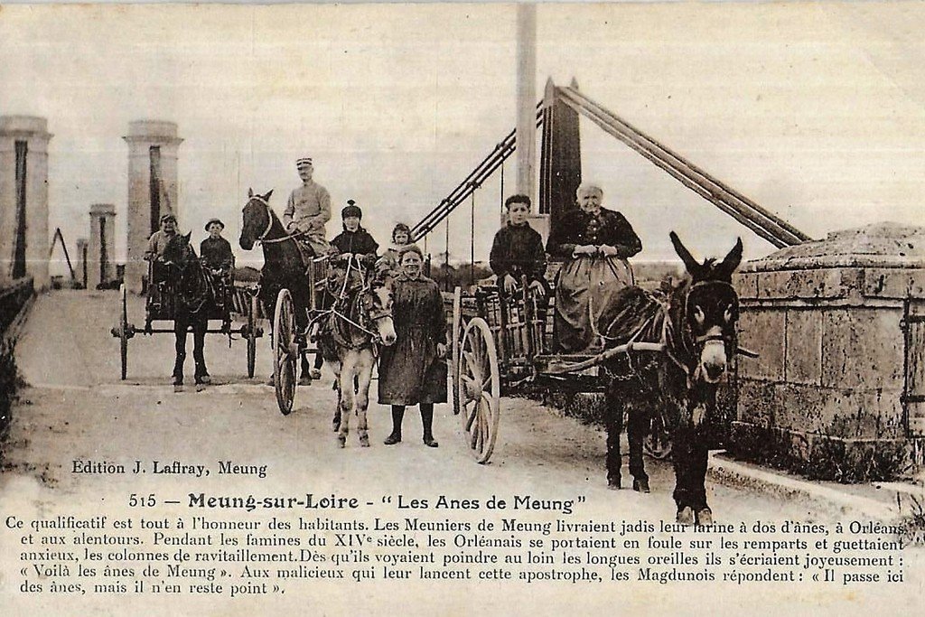 Attelage Meung sur Loire 515 45.jpg