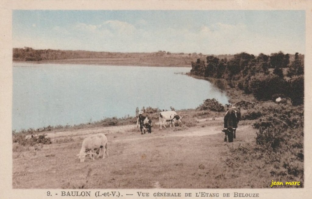 Baulon - Vue générale de l'Étang de Belouze.jpg