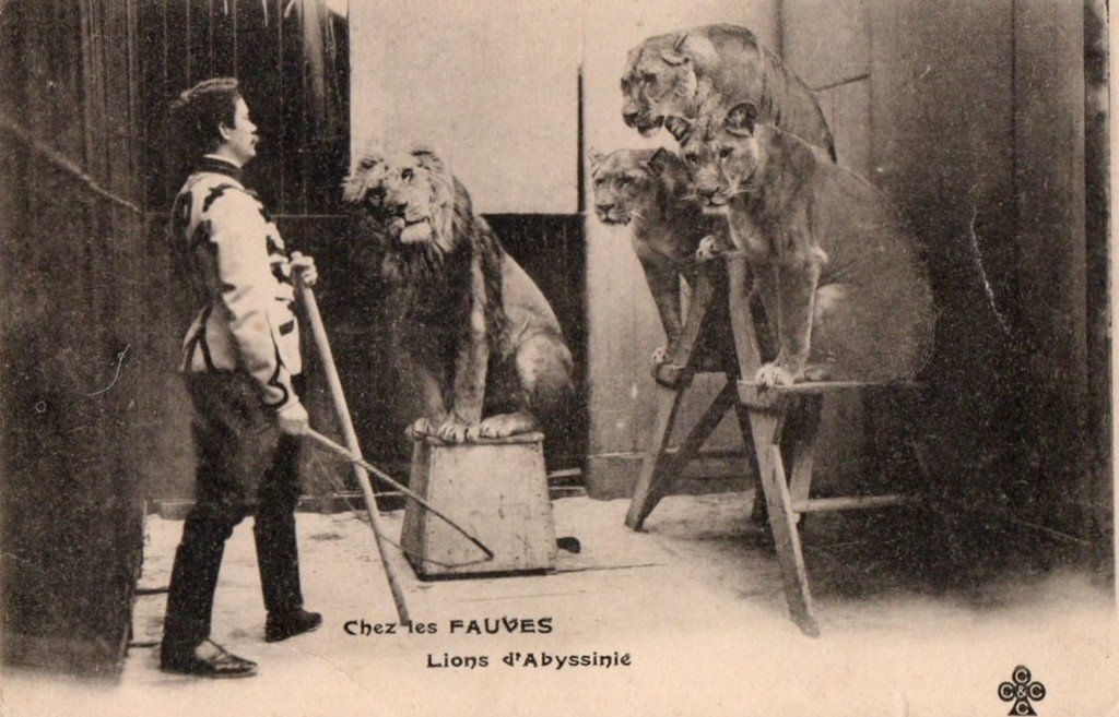 Paris Cirque d'Hiver. XI°.jpg
