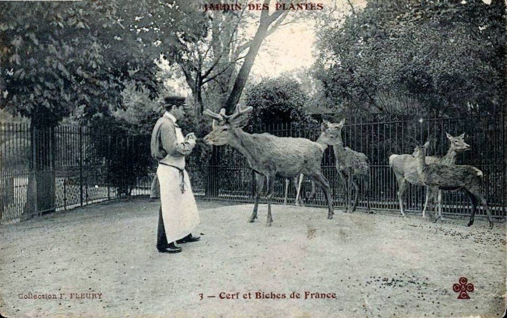 Paris J des P TR.jpg