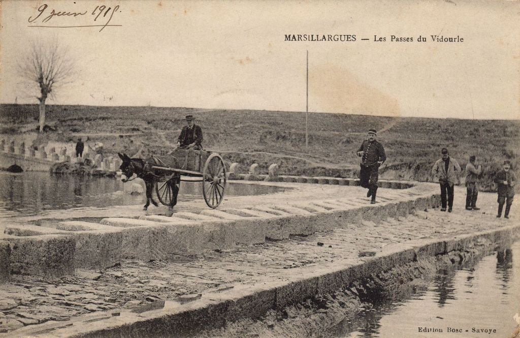 34 - MARSILLARGUES - Les Passes du Vidourle - Edition Bosc - Savoye  -  24-10-25.jpg
