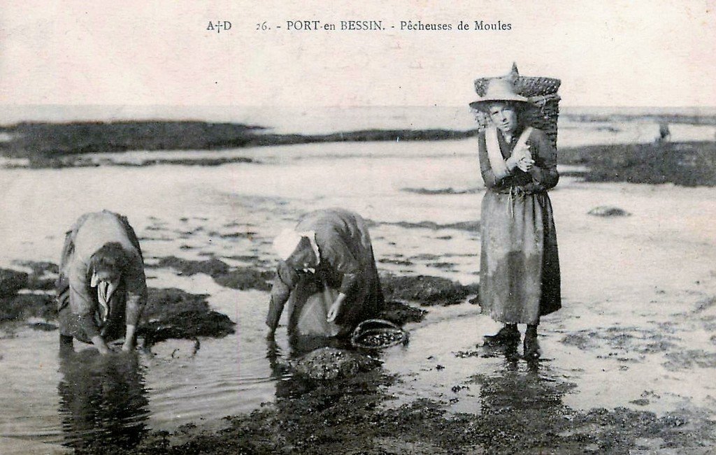 Pêche Port en Bessin 14.jpg