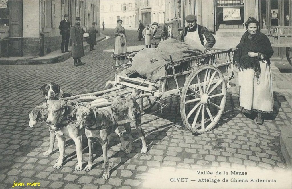 Givet - Attelage de Chiens ardennais.jpg