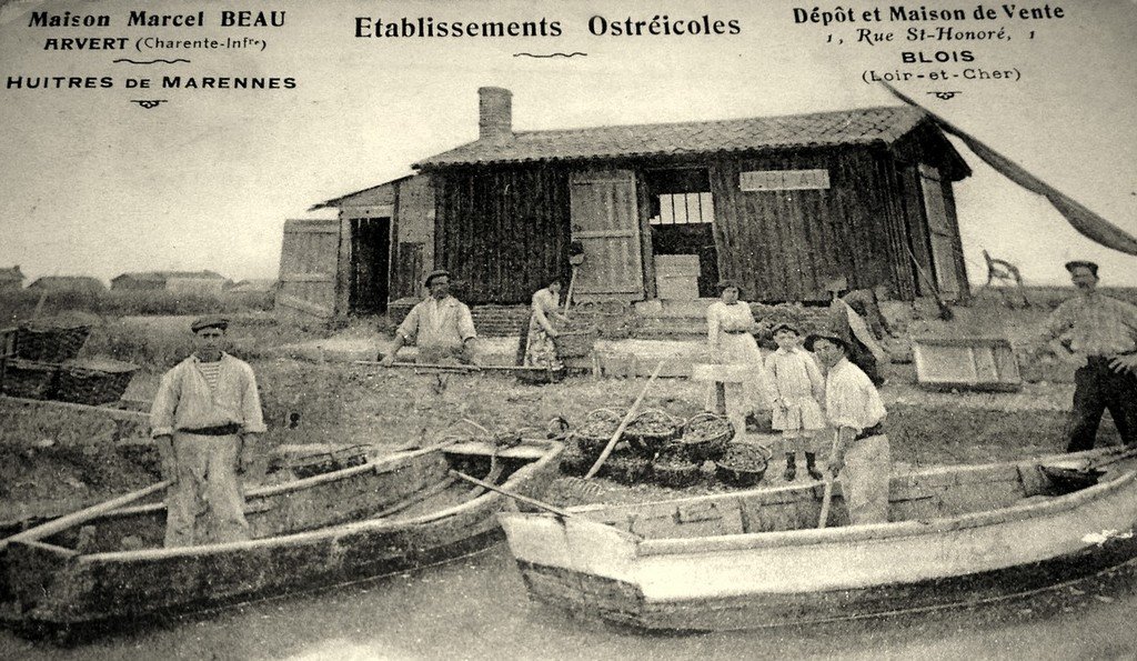 Barques Arvert 17 56.jpg