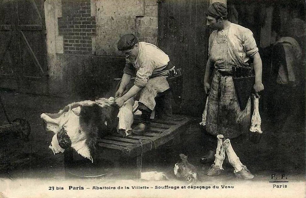 Paris 23 bis TN-FF.jpg