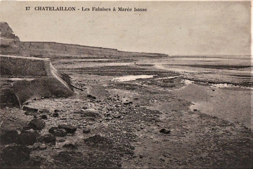 Châtelaillon 17 Fal.jpg