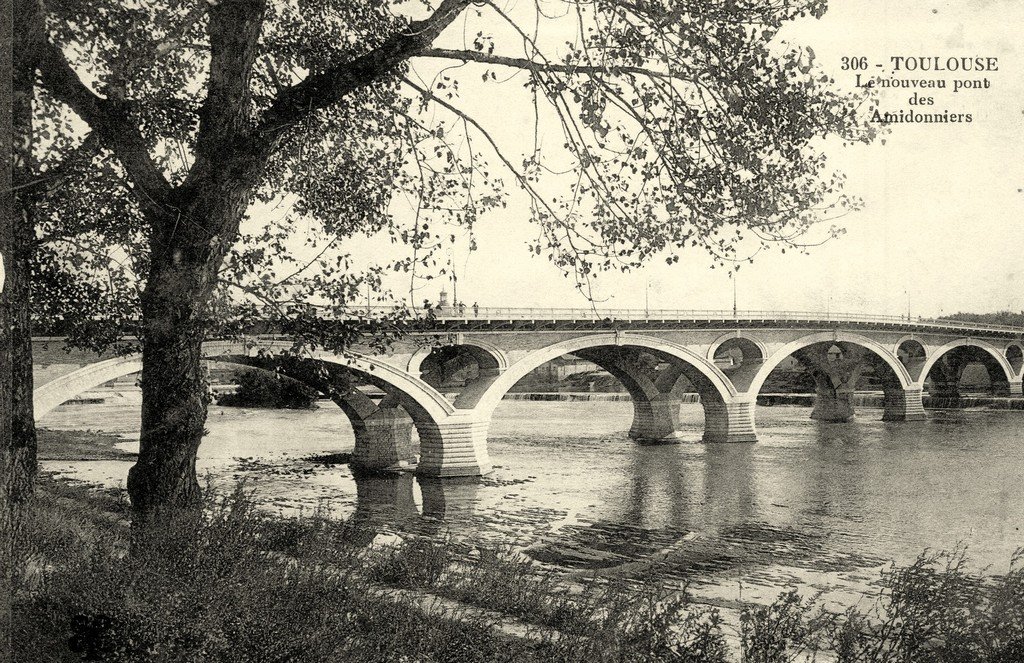 Toulouse - Pont des Amidonniers 31 (306).jpg