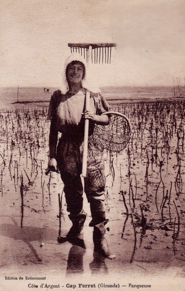 Lège Cap Ferret 33.jpg