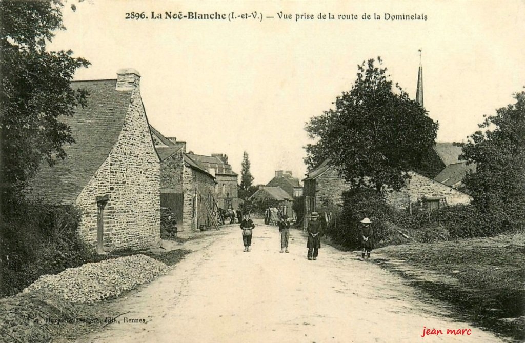 La Noë-Blanche - Vue prise de la Route de la Dominelais.jpg