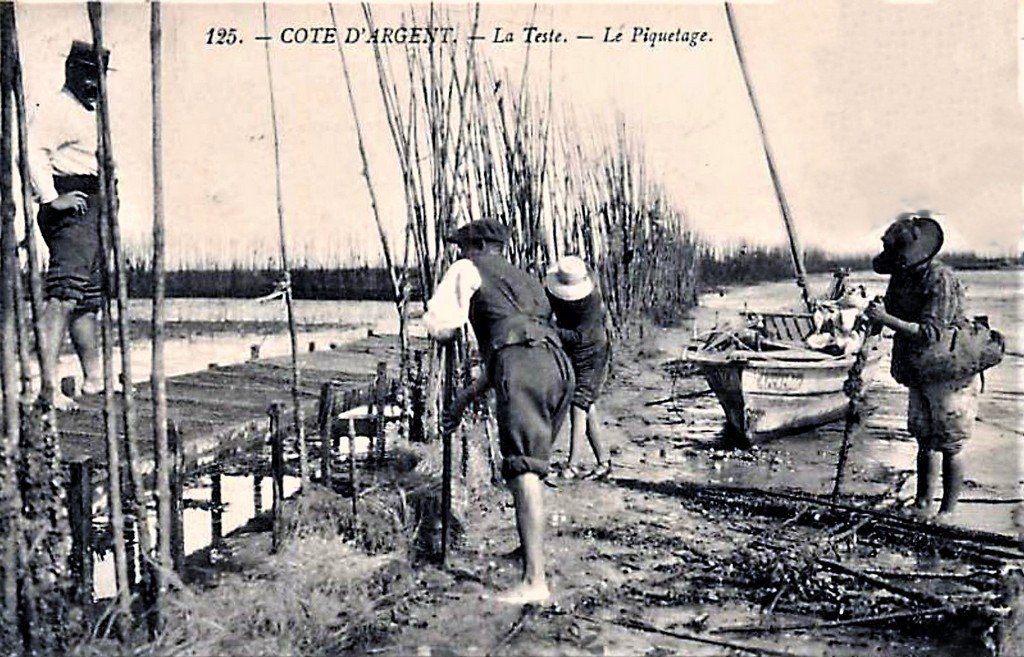 La Teste de Buch 33 125..jpg