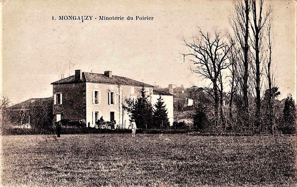 Mongauzy 33.jpg