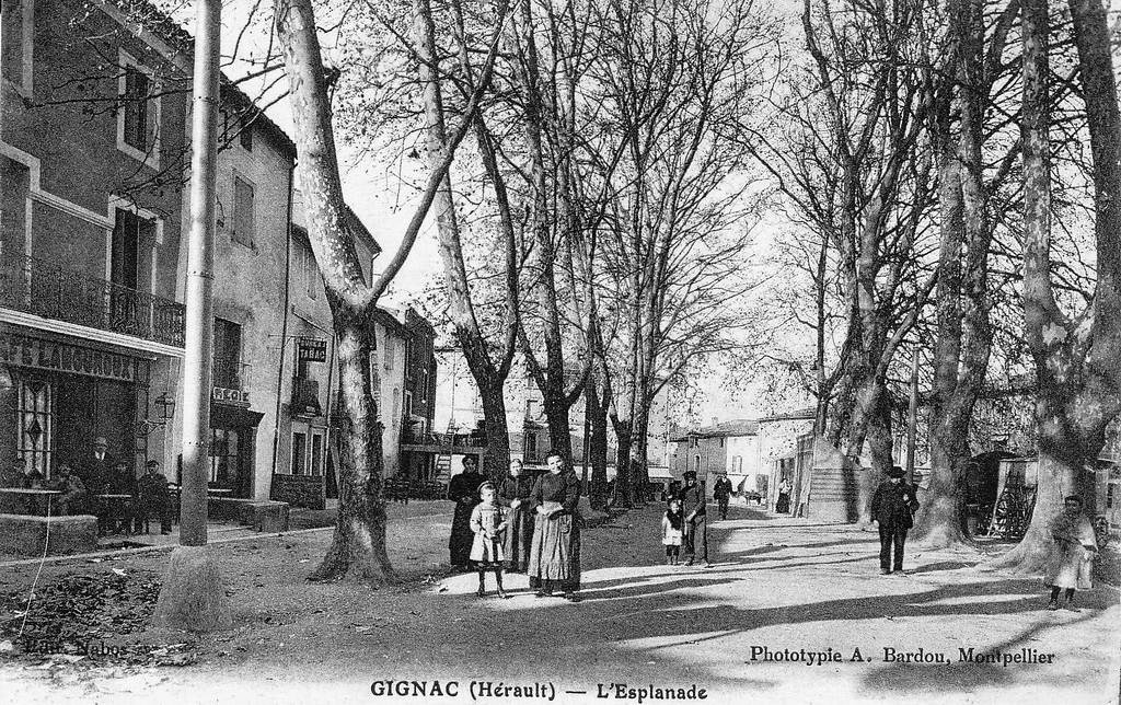 Gignac 8.jpg