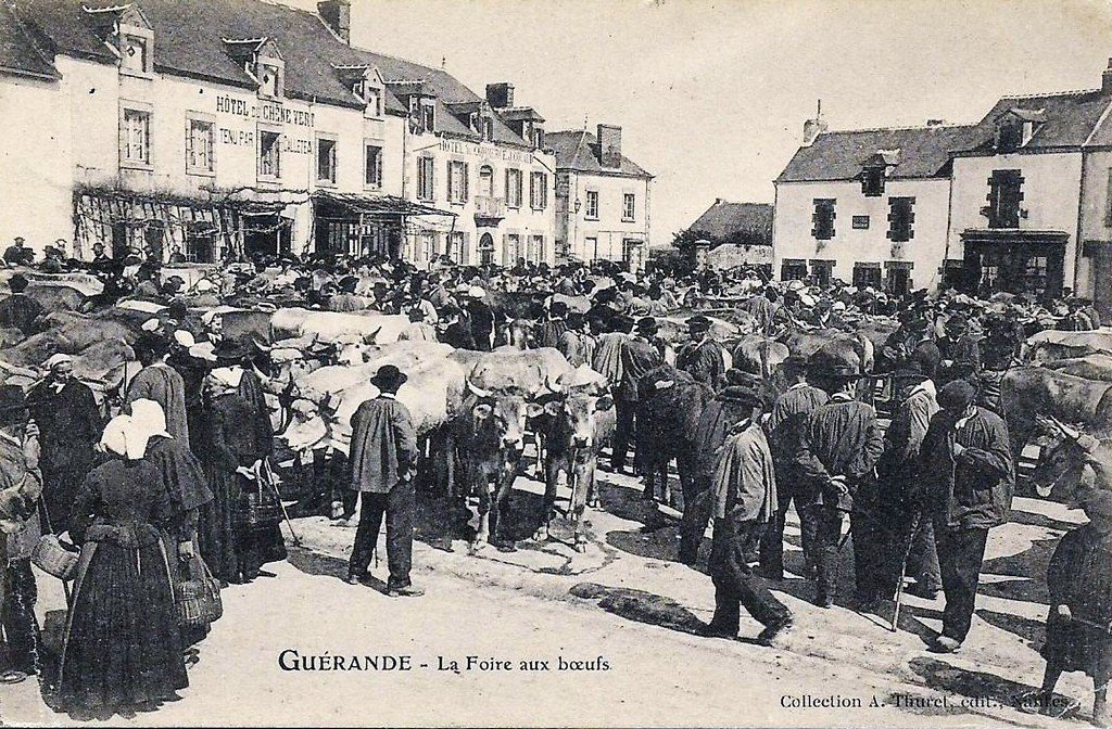 Guérande 44.jpg
