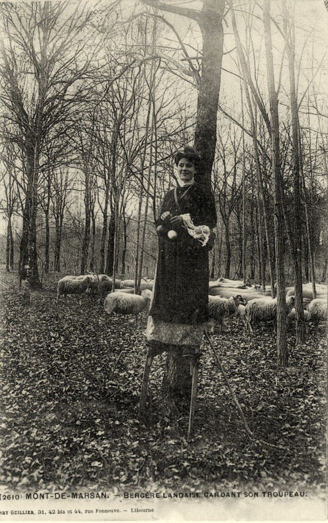 Mont de Marsan 40 (2610).jpg