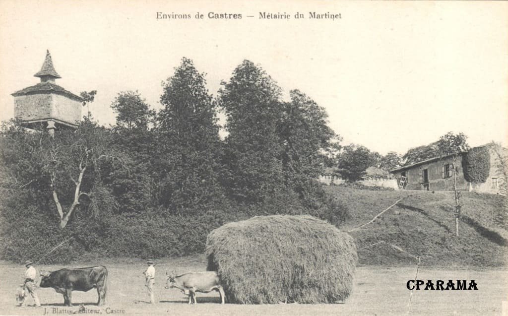Castres Blattes Martinet.jpg