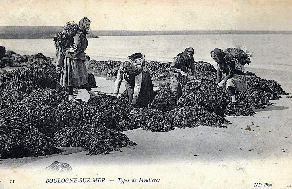 Boulogne sur Mer 62.jpg