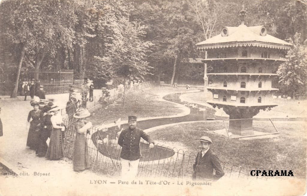 Lyon pigeonnier.jpg