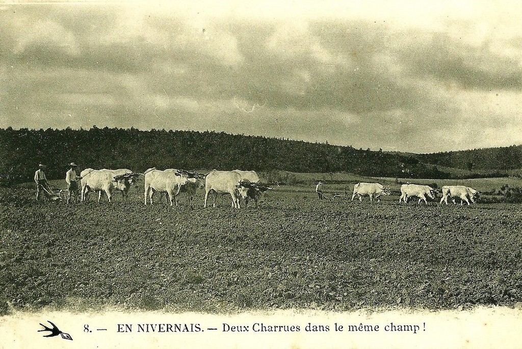 Nivernais 58.jpg