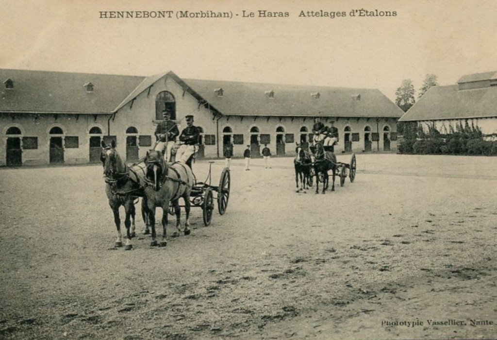 Attelages Hennebont 56.jpg